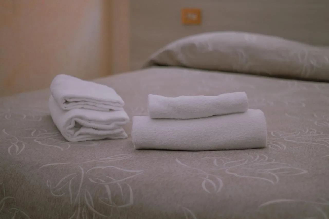 Hotel Aristotele Rome